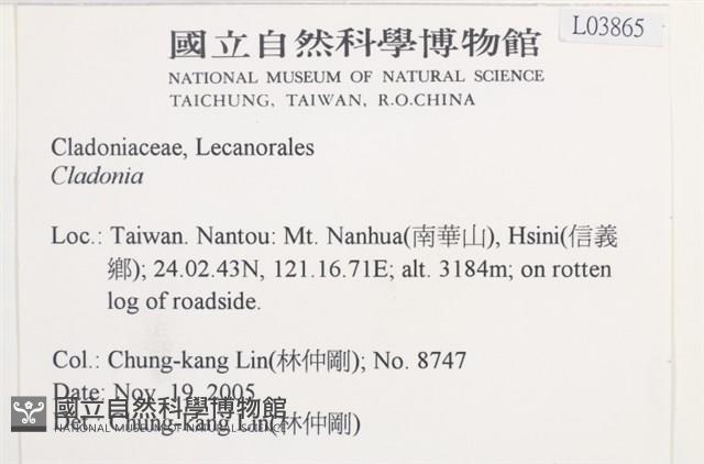 登錄號:L00003865藏品圖，第2張