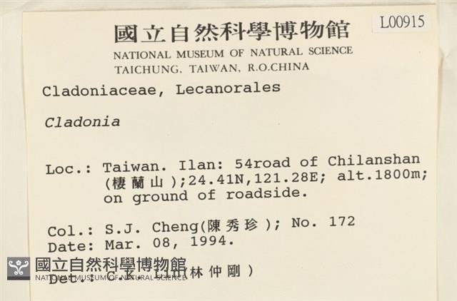 登錄號:L00000915藏品圖，第2張