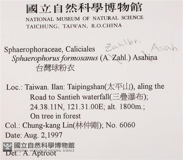 台灣球粉衣藏品圖，第2張