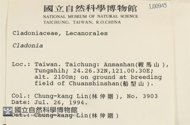 登錄號:L00000945藏品圖，第2張