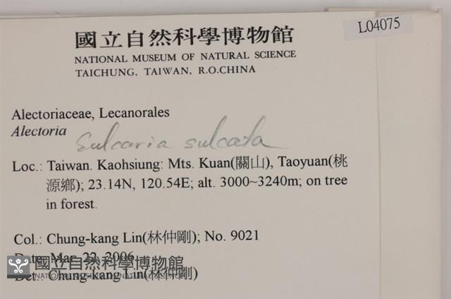 登錄號:L00004075藏品圖，第2張