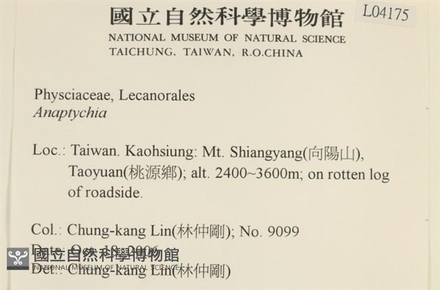 登錄號:L00004175藏品圖，第2張