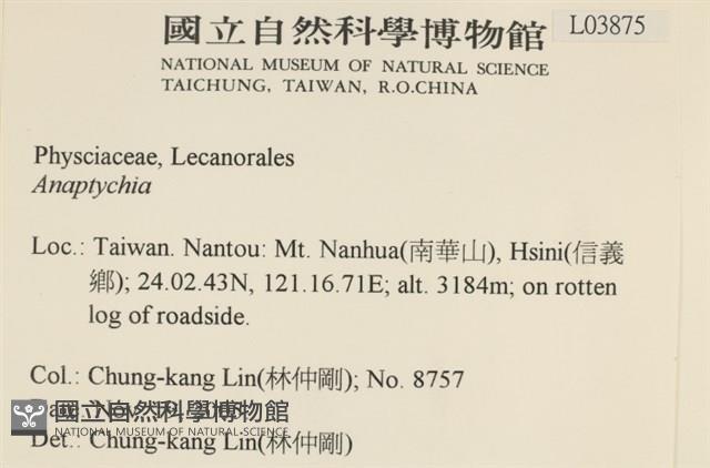 登錄號:L00003875藏品圖，第2張