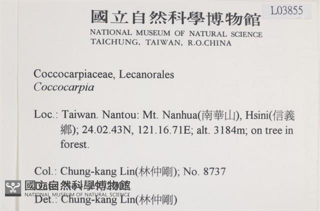 登錄號:L00003855藏品圖，第2張