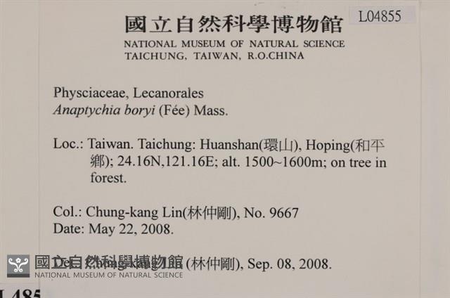 登錄號:L00004855藏品圖，第2張