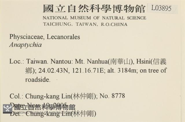 登錄號:L00003895藏品圖，第2張