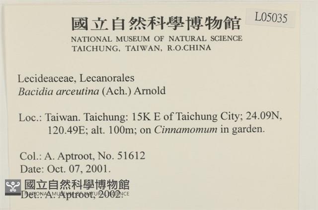 登錄號:L00005035藏品圖，第2張