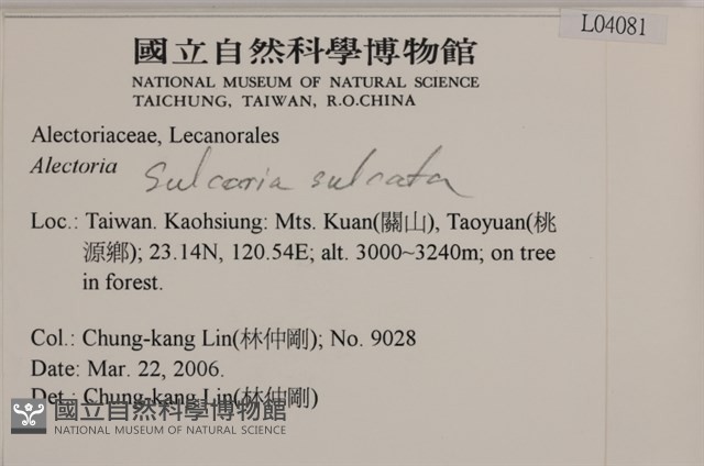 登錄號:L00004081藏品圖，第2張