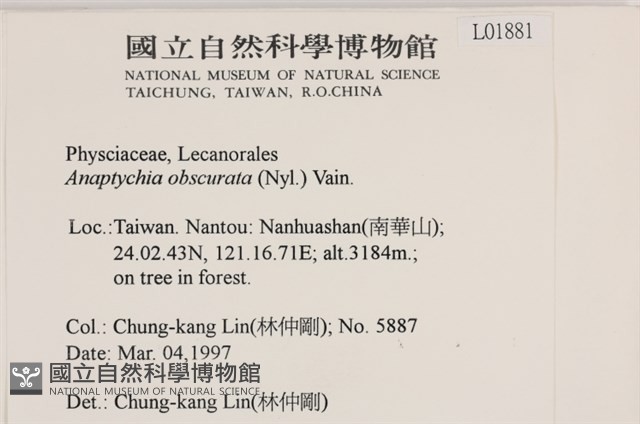 登錄號:L00001881藏品圖，第2張