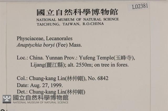 登錄號:L00002381藏品圖，第2張