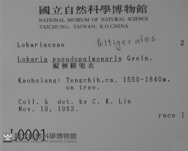 擬側膜兜衣藏品圖，第2張