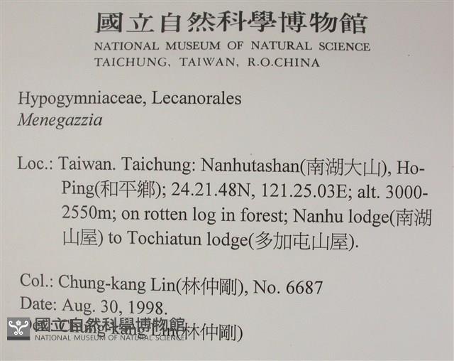 登錄號:L00002261藏品圖，第2張