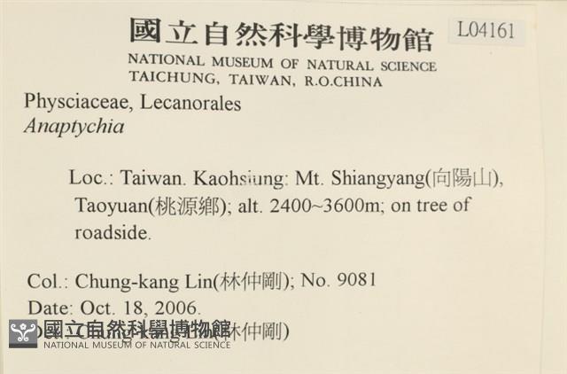 登錄號:L00004161藏品圖，第2張