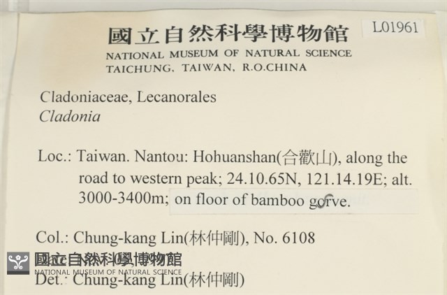 登錄號:L00001961藏品圖，第2張