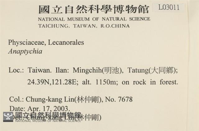 登錄號:L00003011藏品圖，第2張