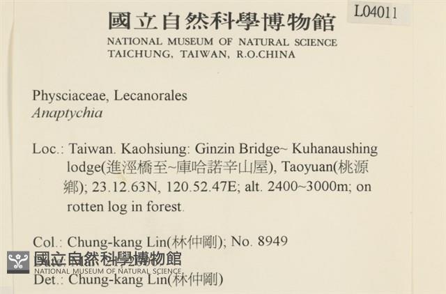 登錄號:L00004011藏品圖，第2張