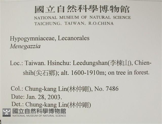 登錄號:L00002911藏品圖，第2張