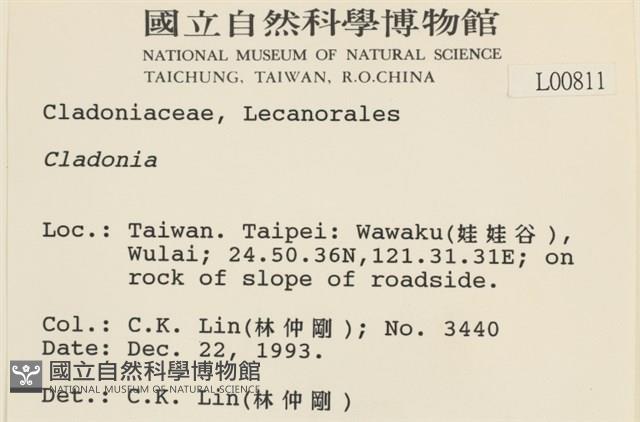 登錄號:L00000811藏品圖，第2張