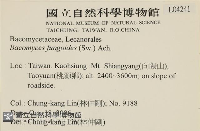 登錄號:L00004241藏品圖，第2張