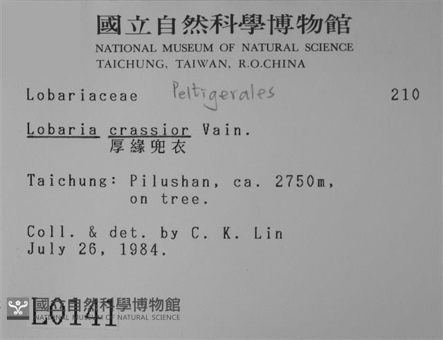 厚兜衣藏品圖，第2張