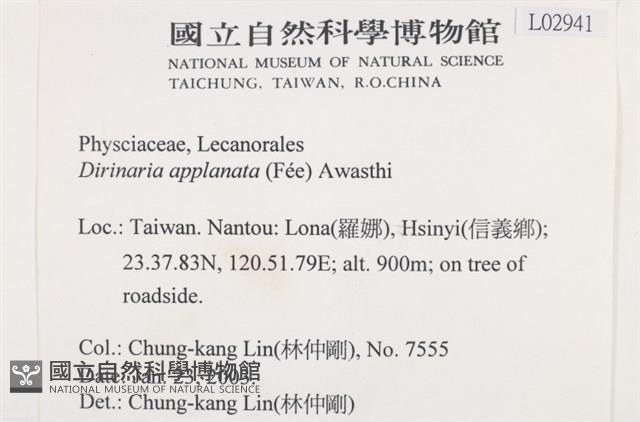 扁平黑囊基衣藏品圖，第2張