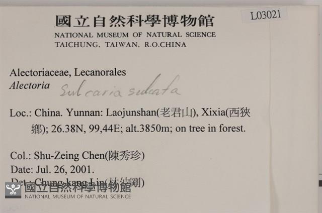 登錄號:L00003021藏品圖，第2張