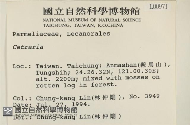 登錄號:L00000971藏品圖，第2張