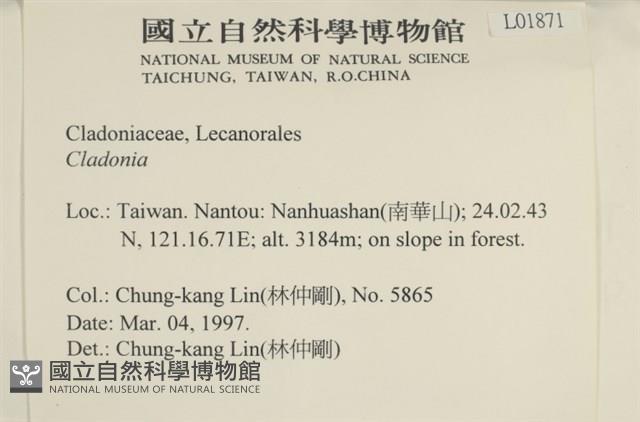 登錄號:L00001871藏品圖，第2張