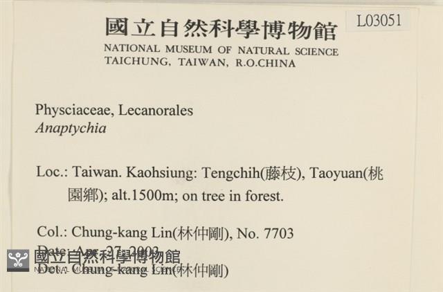登錄號:L00003051藏品圖，第2張