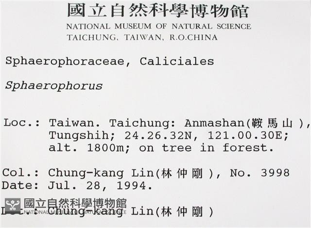 登錄號:L00000991藏品圖，第2張