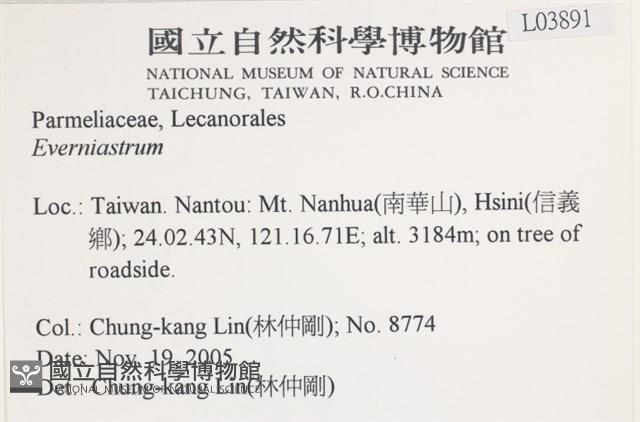 登錄號:L00003891藏品圖，第2張