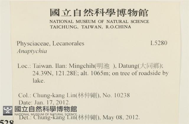 登錄號:L00005280藏品圖，第2張