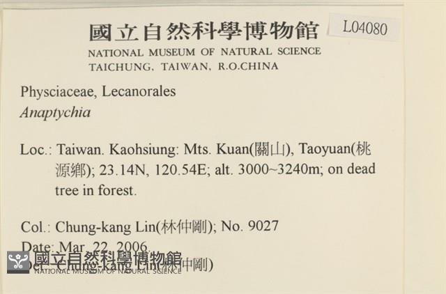 登錄號:L00004080藏品圖，第2張