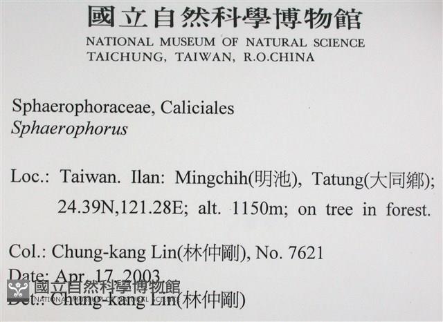 登錄號:L00002980藏品圖，第2張