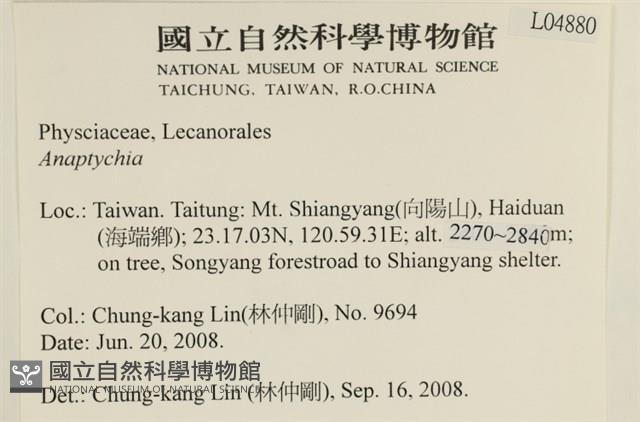 登錄號:L00004880藏品圖，第2張