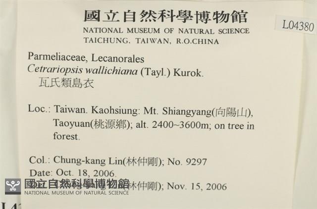 登錄號:L00004380藏品圖，第2張