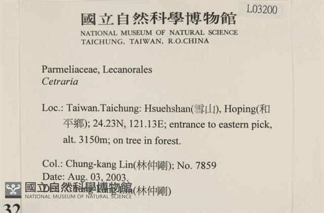 登錄號:L00003200藏品圖，第2張