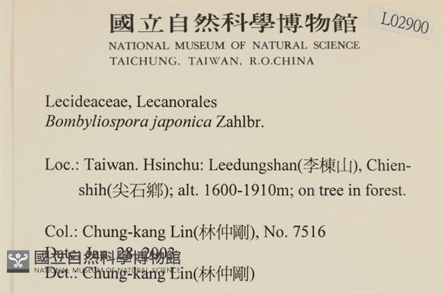 登錄號:L00002900藏品圖，第2張