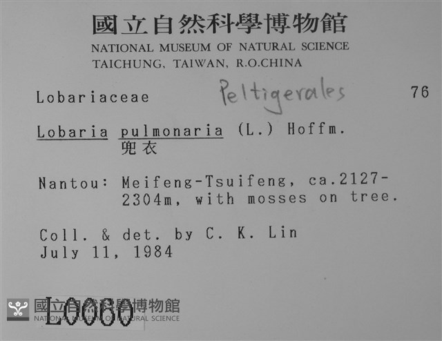 兜衣藏品圖，第2張