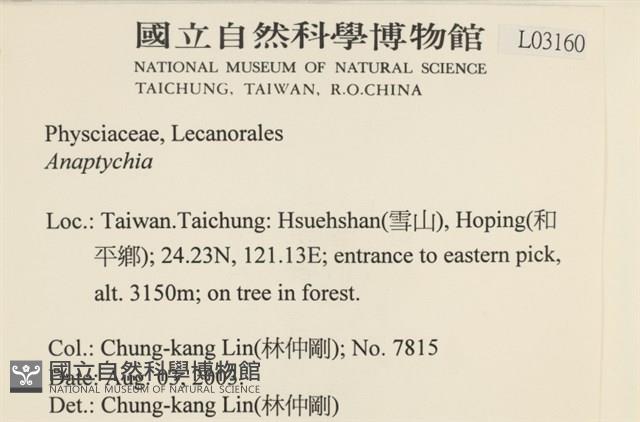 登錄號:L00003160藏品圖，第2張