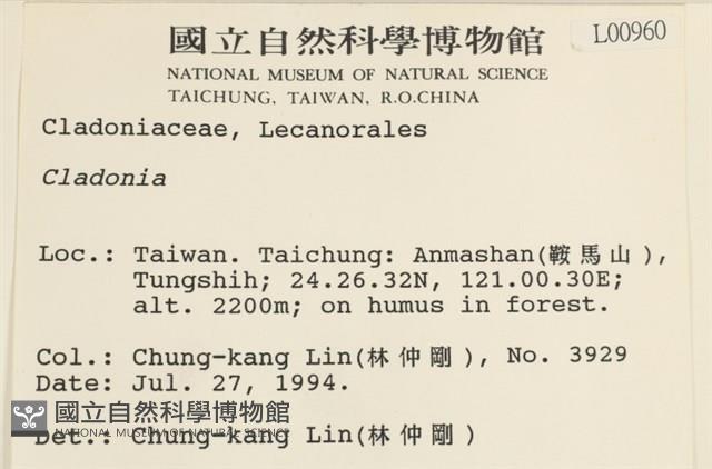 登錄號:L00000960藏品圖，第2張