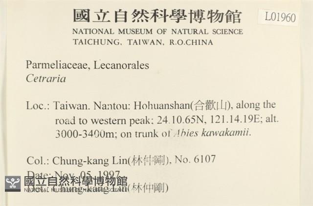 登錄號:L00001960藏品圖，第2張
