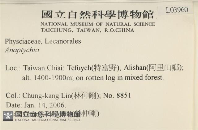 登錄號:L00003960藏品圖，第2張