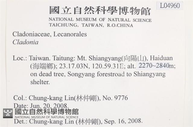 登錄號:L00004960藏品圖，第2張