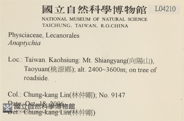 登錄號:L00004210藏品圖，第2張