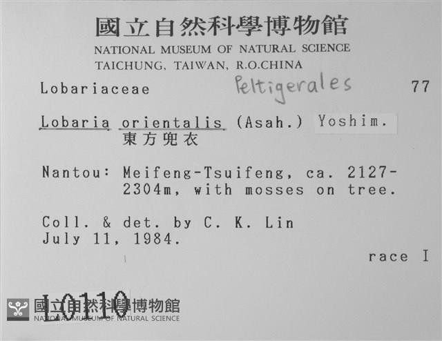 東方兜衣藏品圖，第2張