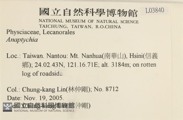 登錄號:L00003840藏品圖，第2張