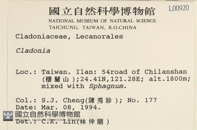 登錄號:L00000920藏品圖，第2張