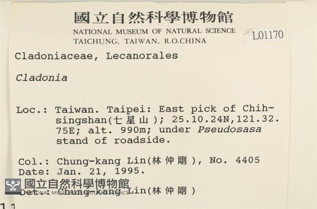 登錄號:L00001170藏品圖，第2張