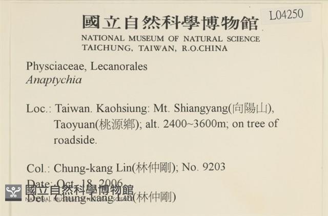 登錄號:L00004250藏品圖，第2張